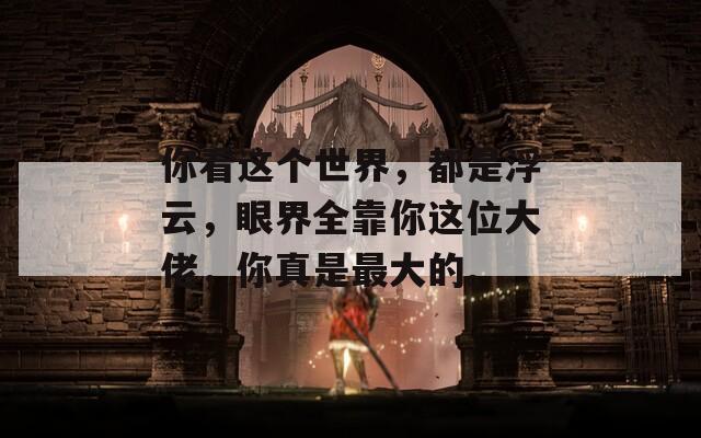 你看这个世界，都是浮云，眼界全靠你这位大佬，你真是最大的。