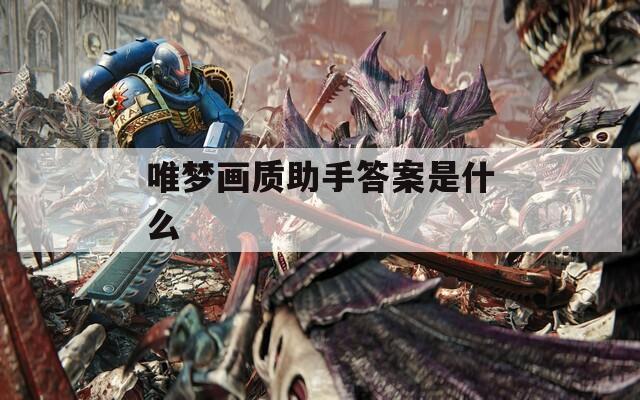 唯梦画质助手答案是什么