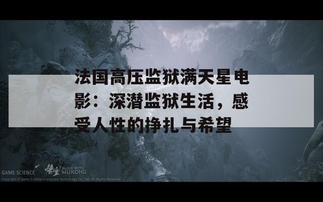 法国高压监狱满天星电影：深潜监狱生活，感受人性的挣扎与希望
