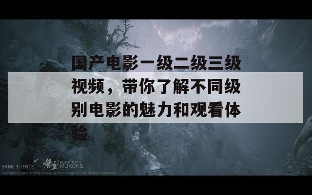 国产电影一级二级三级视频，带你了解不同级别电影的魅力和观看体验