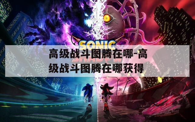 高级战斗图腾在哪-高级战斗图腾在哪获得