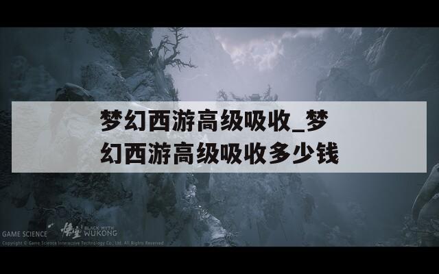 梦幻西游高级吸收_梦幻西游高级吸收多少钱